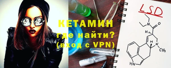 индика Гусиноозёрск