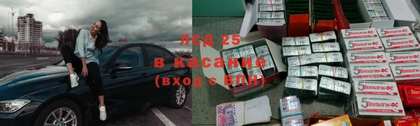 стаф Дмитриев