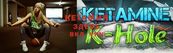 индика Гусиноозёрск