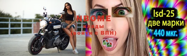 индика Гусиноозёрск