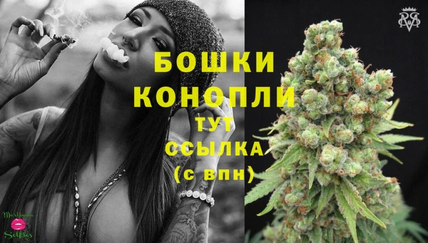 индика Гусиноозёрск