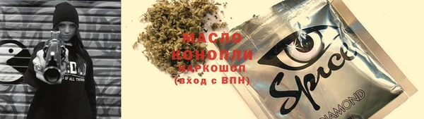 индика Гусиноозёрск