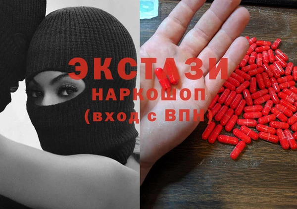 индика Гусиноозёрск