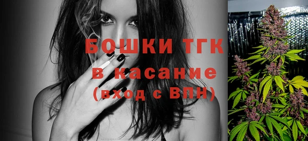 индика Гусиноозёрск
