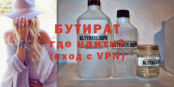 индика Гусиноозёрск