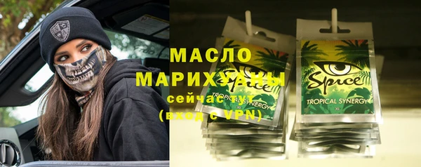 индика Гусиноозёрск