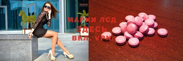 индика Гусиноозёрск