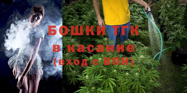 индика Гусиноозёрск