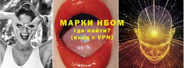 стаф Дмитриев