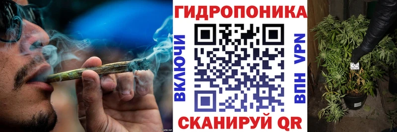 Купить  Камень-на-Оби  Каннабис план 